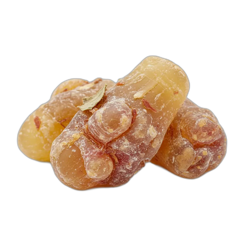 Boswellia serrata — promuove la sensazione di comfort articolare